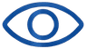 Vision Icon